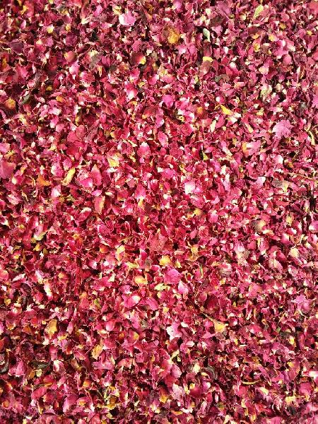 Dried Himalayan Red Rose Petals