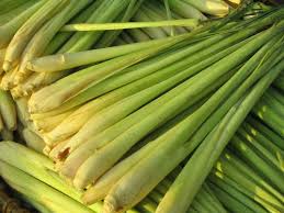 Lemon Grass oil