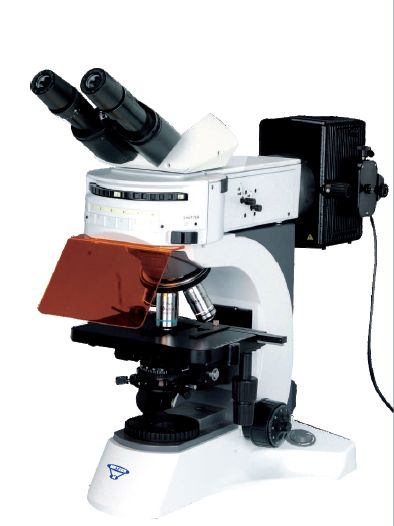 Trinocular Fluorescence Microscope