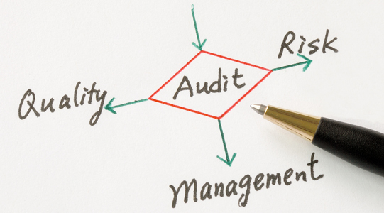 Auditing and Assurance Services