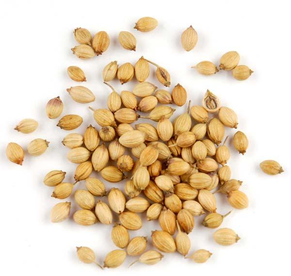 coriander seeds