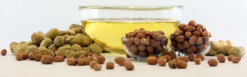 groundnut oil