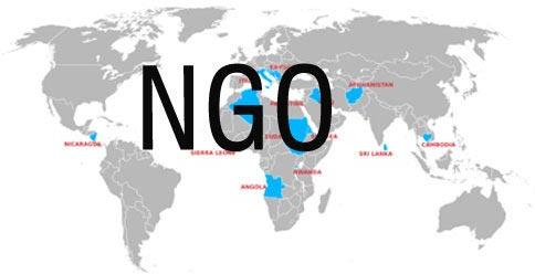 NGO Services