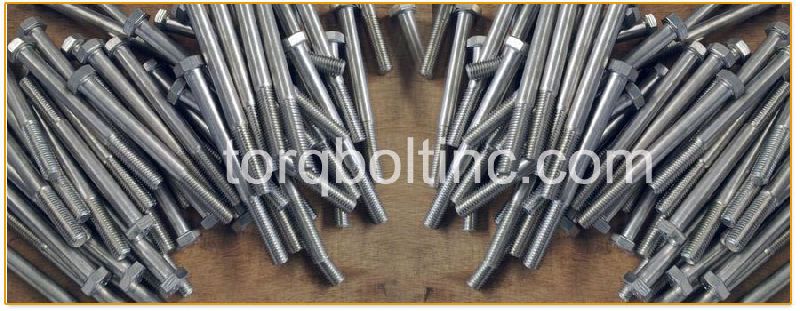 Hastelloy Fasteners