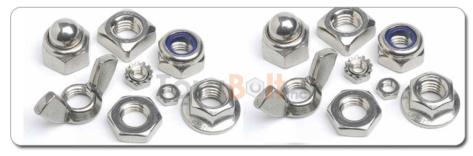 Stainless Steel Nuts