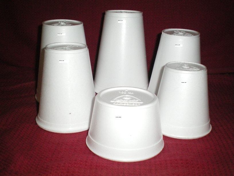 Supplier of Disposable Cups from Karachi, Pakistan by Al Khair Plastics