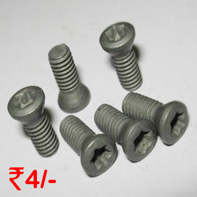 Torx Screw