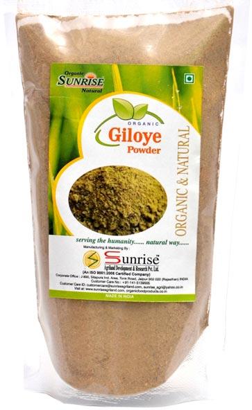 Organic Giloye Powder