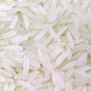 organic ponni rice