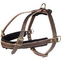 Leather Harness