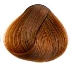 Inaya Brown Henna Hair Color, Certification : Halal, GMP, Lab Test, MSDS, ISO 9001:2015