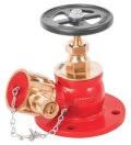 Fire Fighting Valves