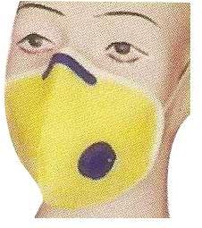 Nose Mask With Value