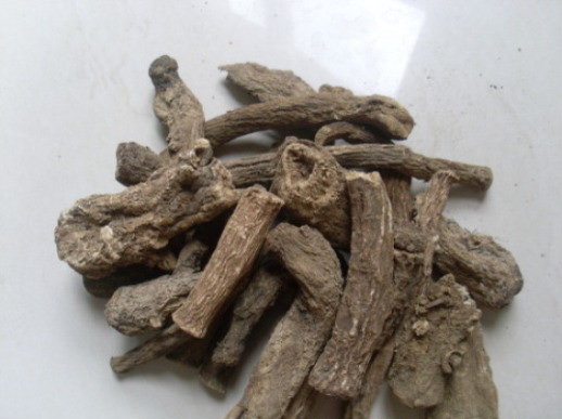 Costus Root Extract