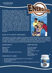 Protein Powder- Energizer