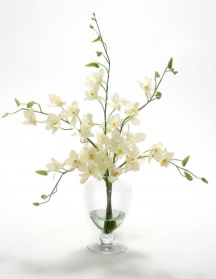 16066# - Waterlook Cream White Dendrobium Orchids Bouquet