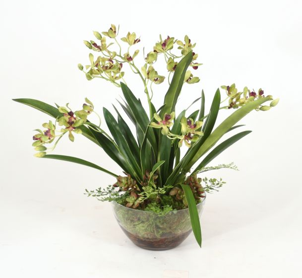 4935 Green Vanda Orchids Maiden Hair Fern Glass Bowl Floor Basket