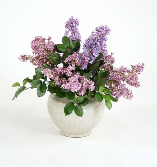 Beige Crackle Porcelain Vase Lilacs Ficus Foliage Bouquet