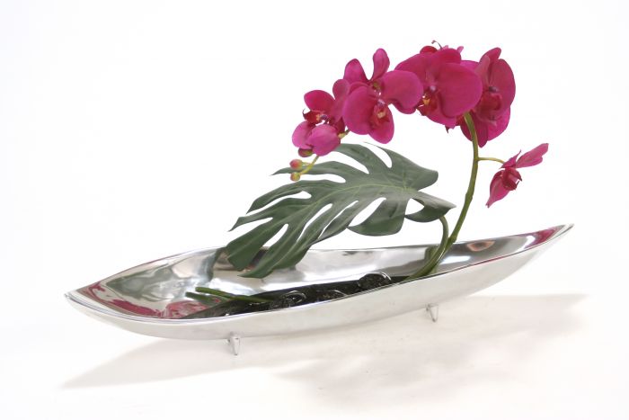 SIlver Tray Violet Phalaenopsis Orchids plant