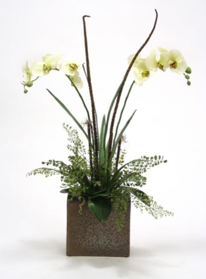 Cream Green Phalaenopsis Orchids Bouquet