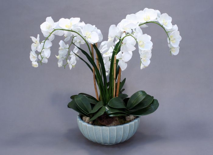 9934 #- WHITE PHALEANOSIS ORCHID bouquet