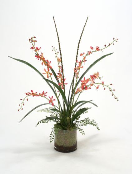 Coral Vanda Orchid Garden In Glass Round Bowl