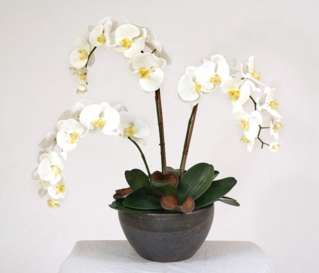 Cream-White Orchid Plant Artificial Flower