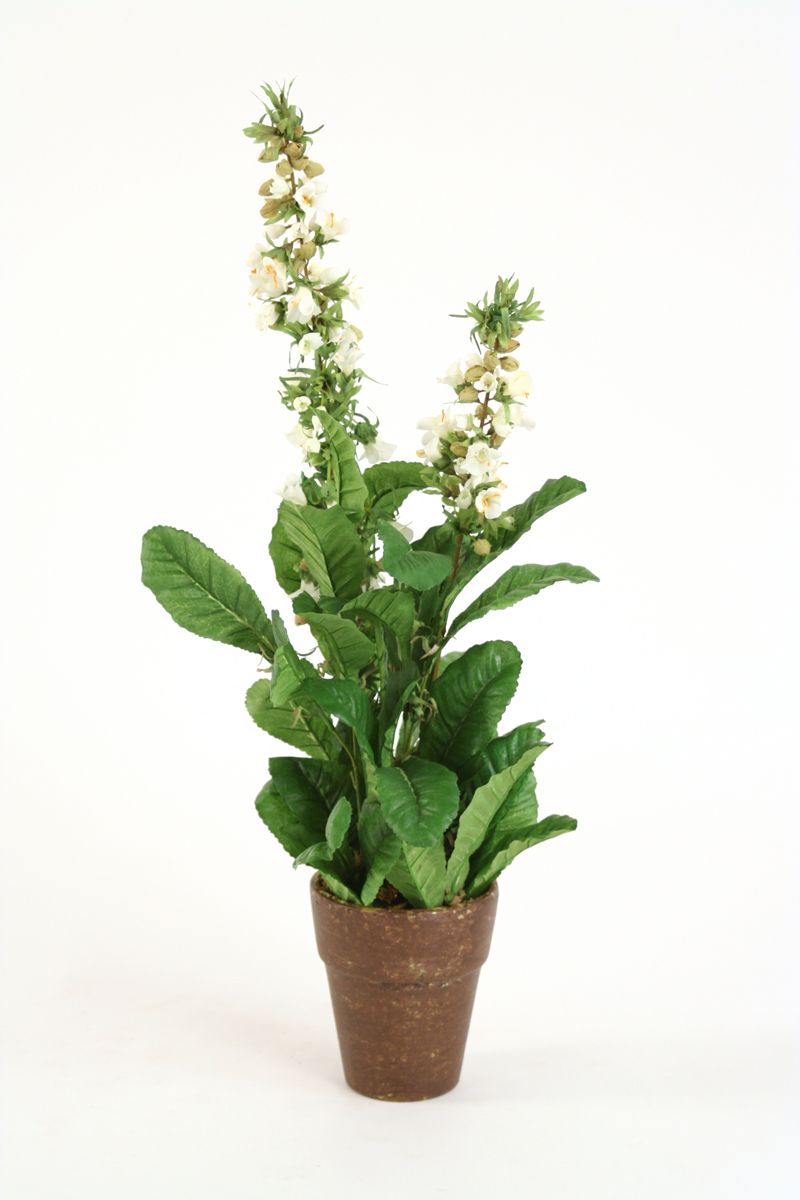 DDA-702B-# - Cream Lythrum Bush in Brown and Yellow Speckled Pot (Pack