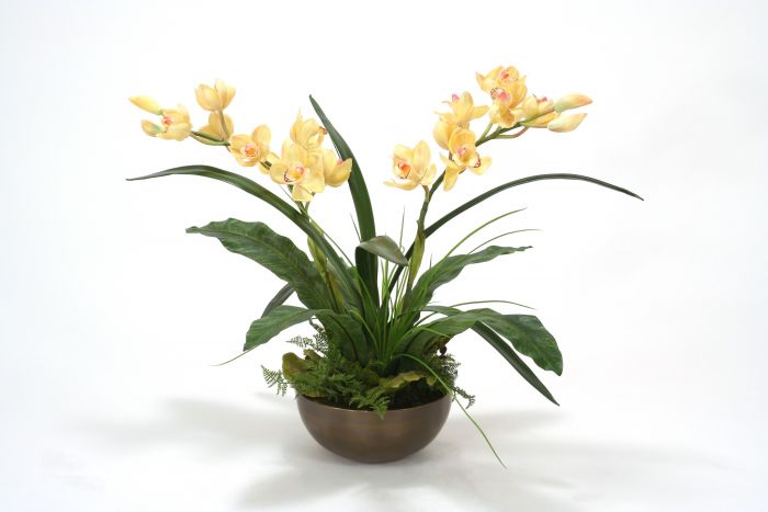 Gold Orchids w/ Ferns