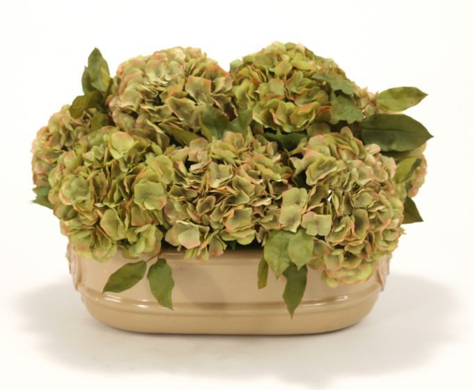 Brown-Green Hydrangeas