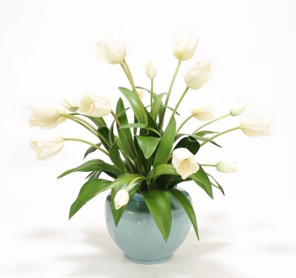 Ivory Tulips