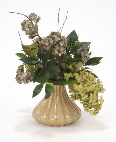 Light Brown-Green Pee Gee Hydrangeas Flower