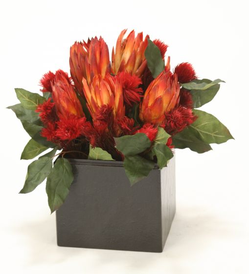 Natural Protea w Red Repens Wood Planter