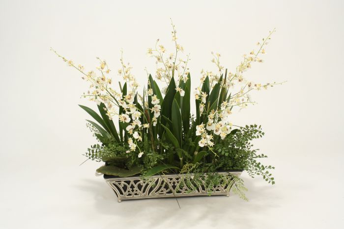 Orchids, Fern in Silver Planter