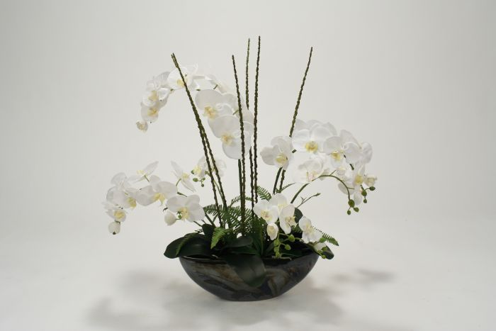 White Ochids