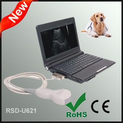 Laptop Ultrasonic Diagnostic System