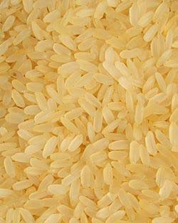 Hard Organic Parboiled rice, Variety : Medium Grain