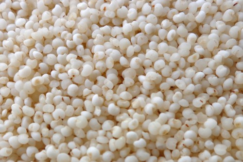 Kodo Millet - ( Varagu Rice )