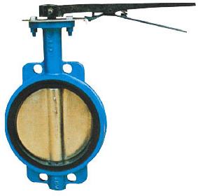 Rotary Motion Butterfly Valve