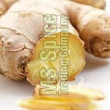 Organic Fresh Ginger, for Cooking, Cosmetic Products, Medicine, Packaging Type : Gunny Bags, Jute Bags