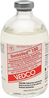 GentaVed 100 Injection