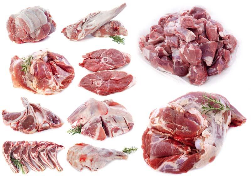 Frozen Halal Meat, for Cooking, Food, Feature : Delicious Taste, Good In Protein