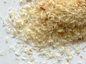 Organic Psyllium Husk