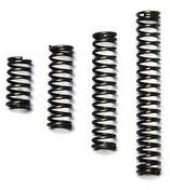 Valve Springs