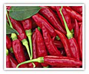 Chillies