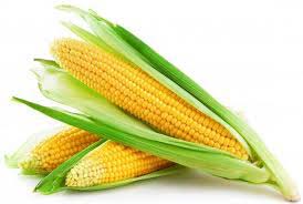 Yellow corn