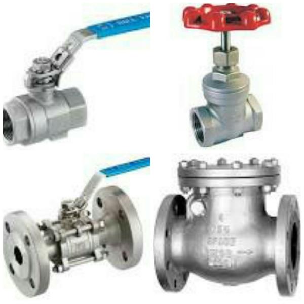 Ss valves(Stainless steel valve)