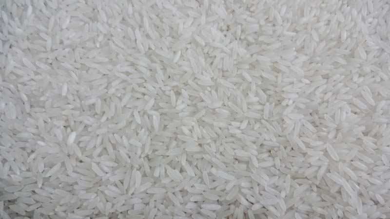 Raw Lachkari Kolam  Rice