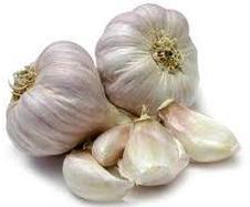 Indian Garlic, Size : SMALL