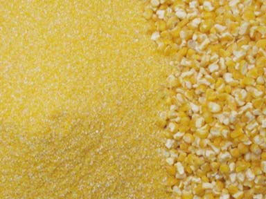 Maize Flour, Production Capacity : 10000 MT